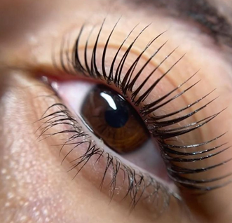 Lash Lifting